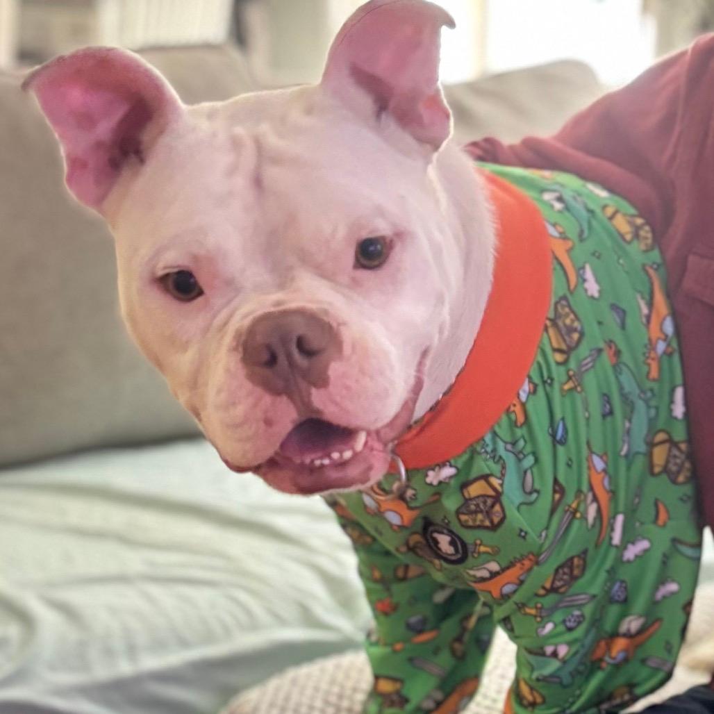 Bowser