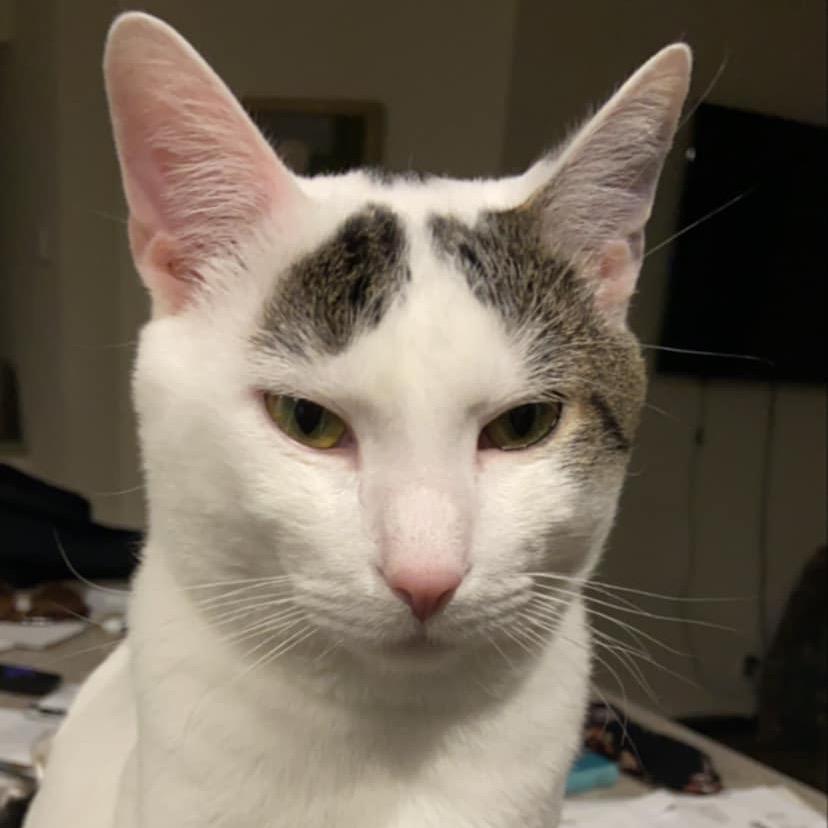 Peter