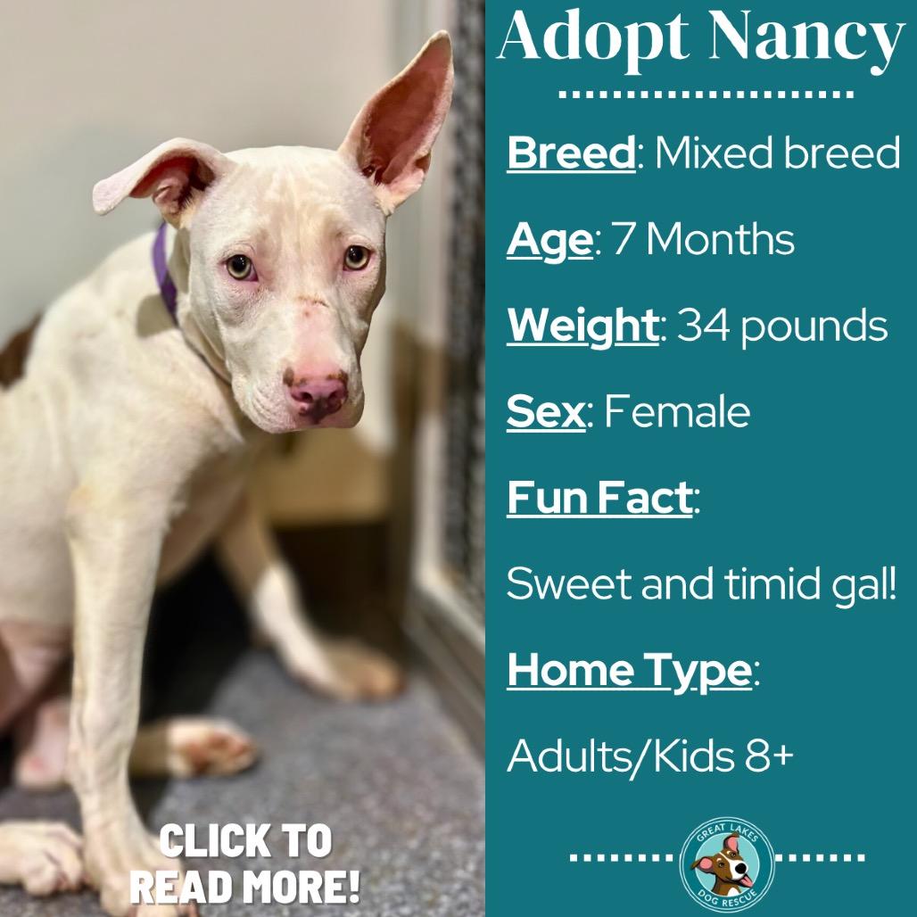 Nancy