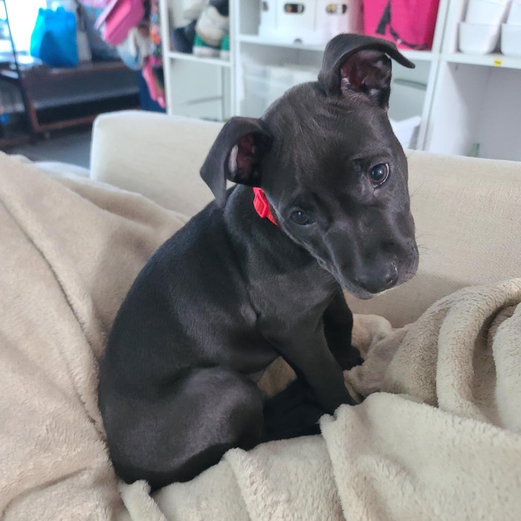 Rocky