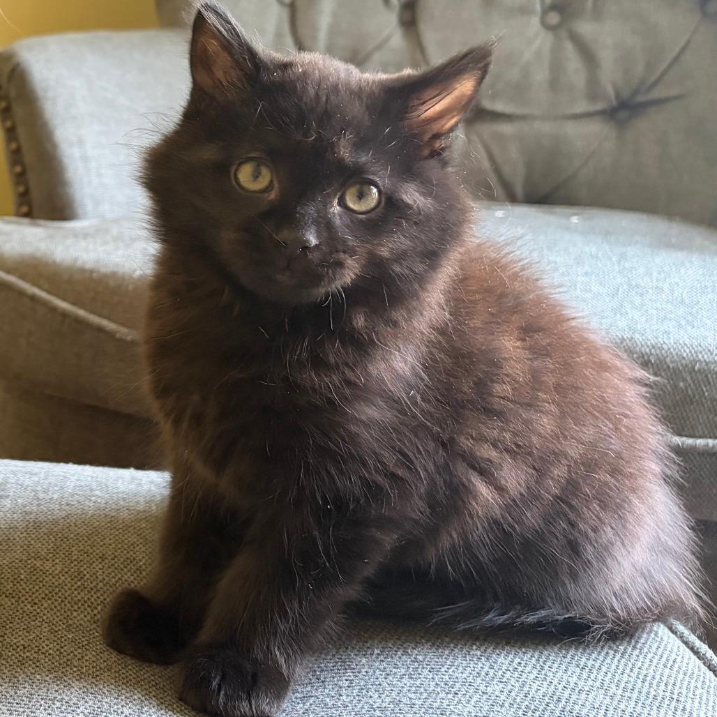 Pete
