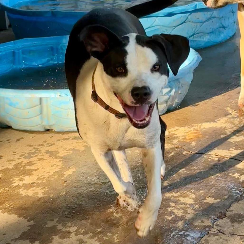 Doris