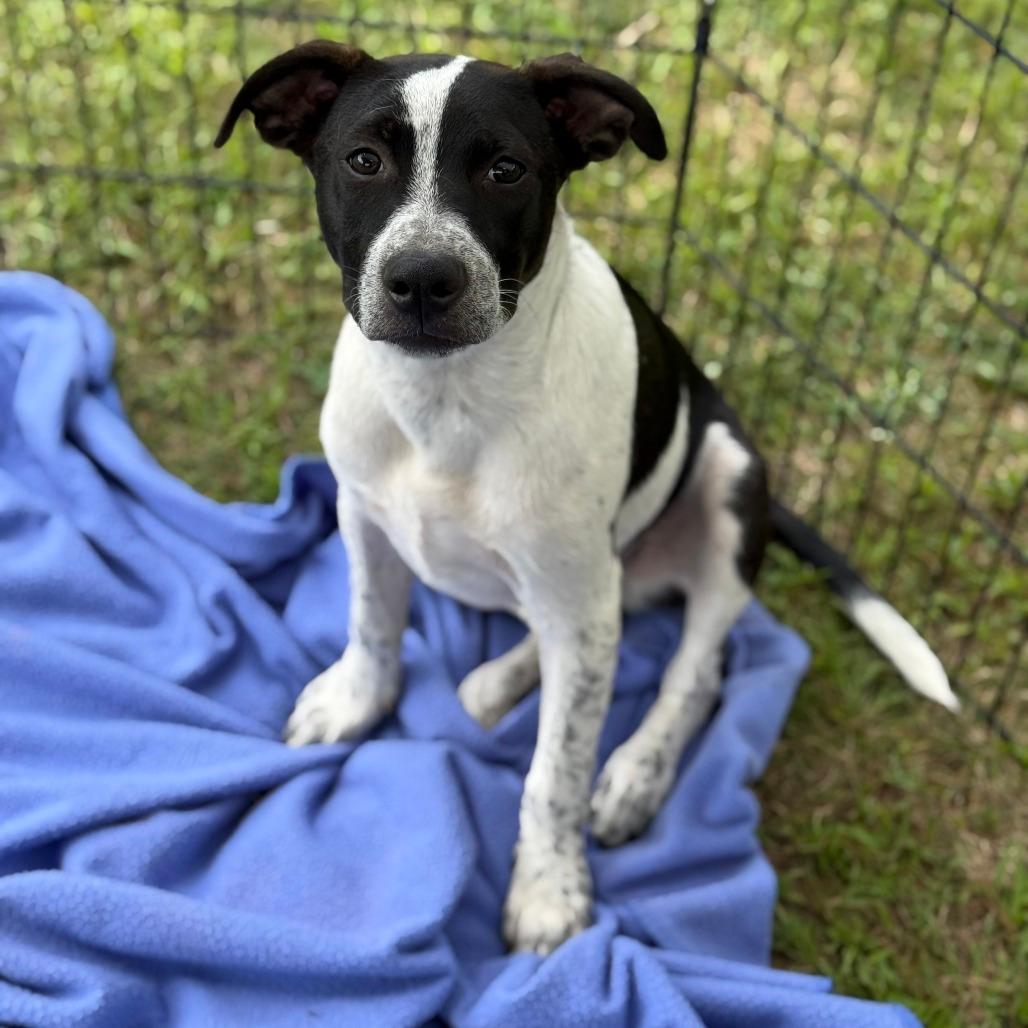 NY Max (Foster in Stormville)