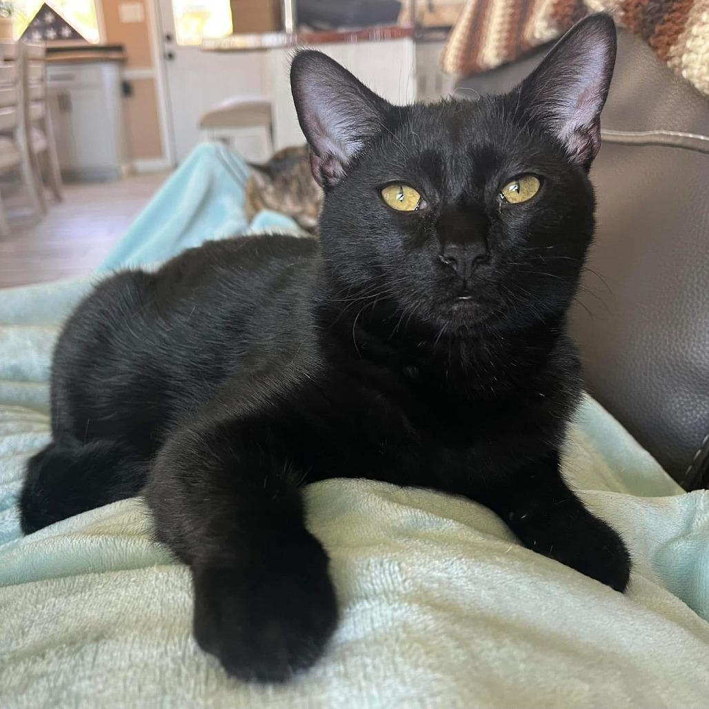 Tyler (aka TyTy)