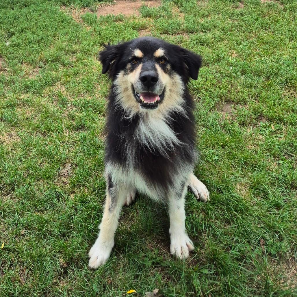 Ripley