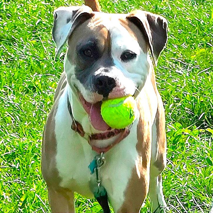 Sadie