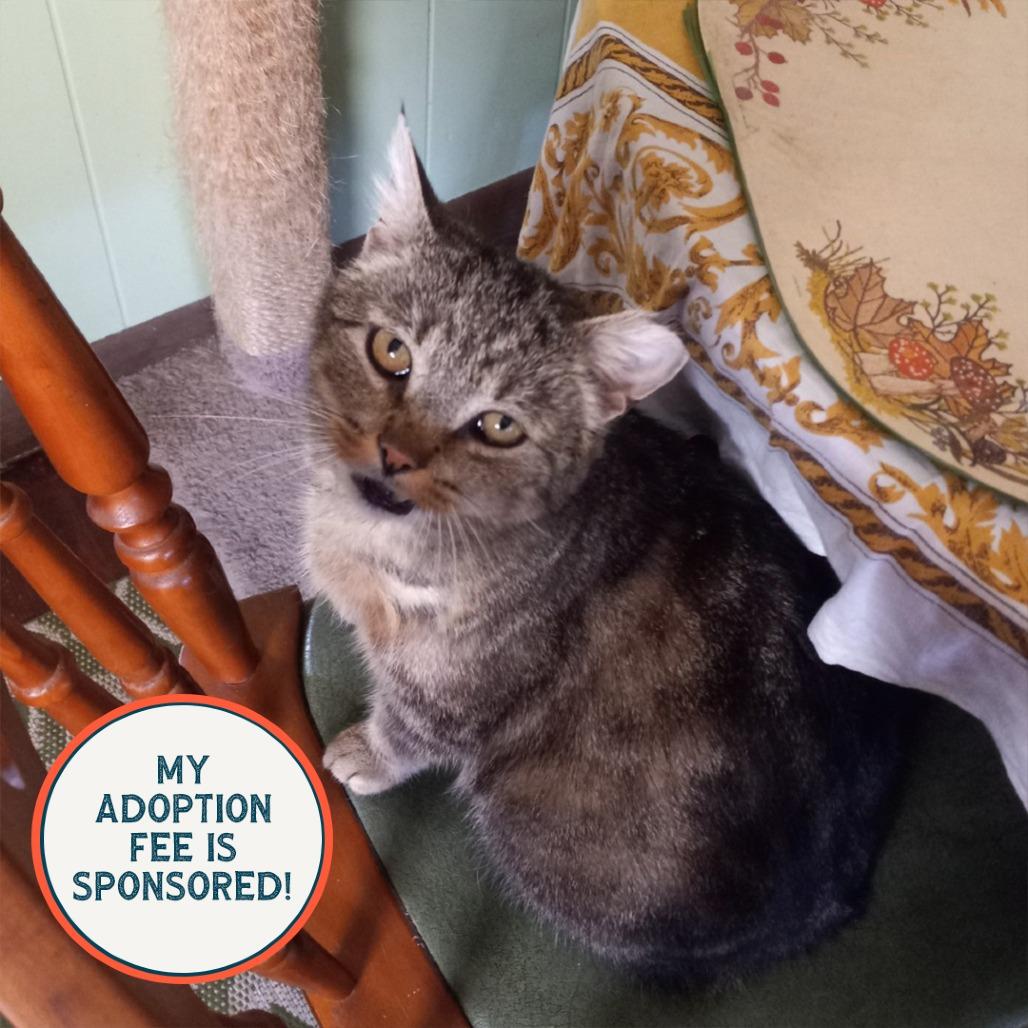 Sour Candy - IN FOSTER