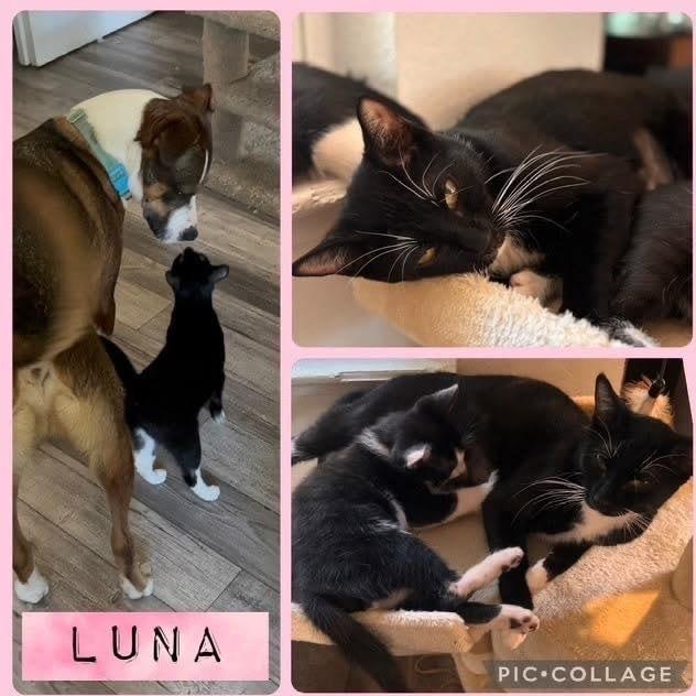 Luna