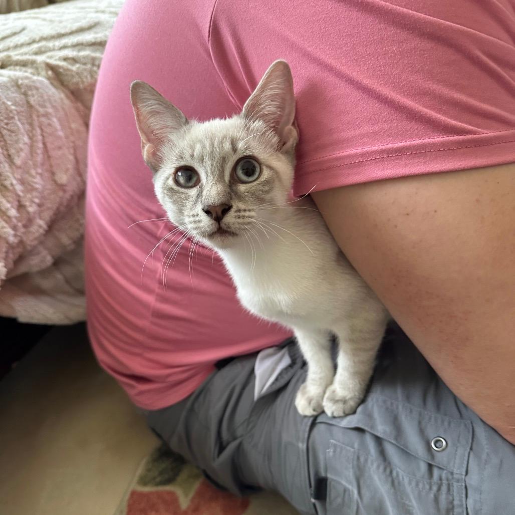 Meep (and Stanley) 