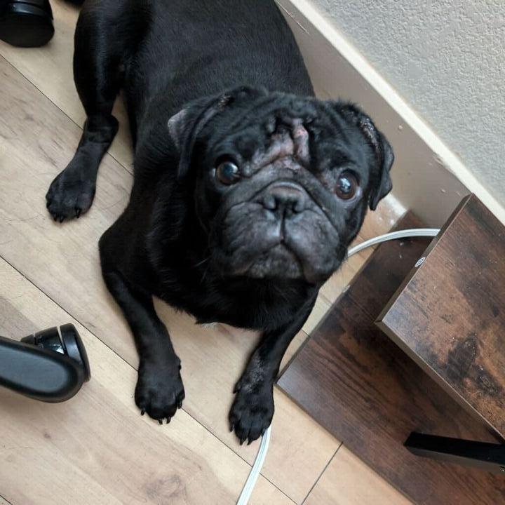 Charlie