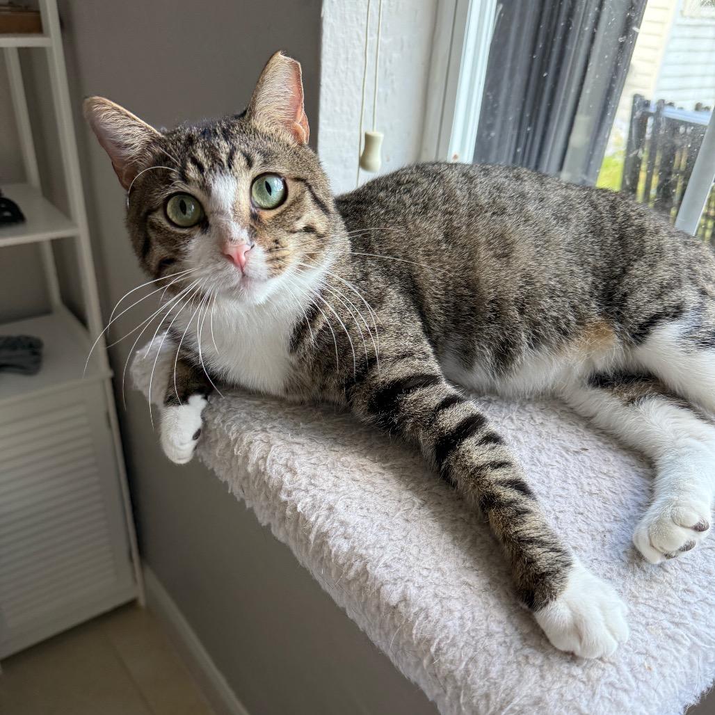 Benjamin ("Benny") Benson
