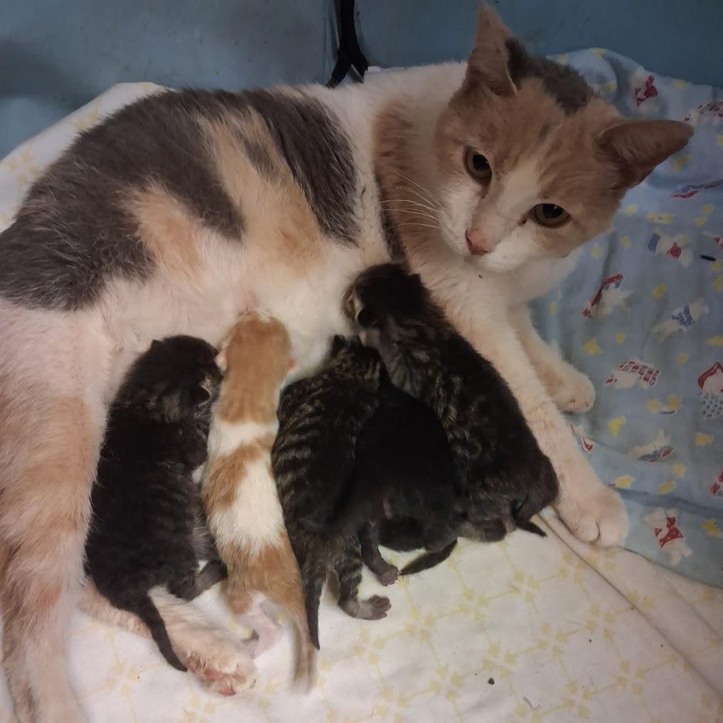 Whitney25 aka Mama