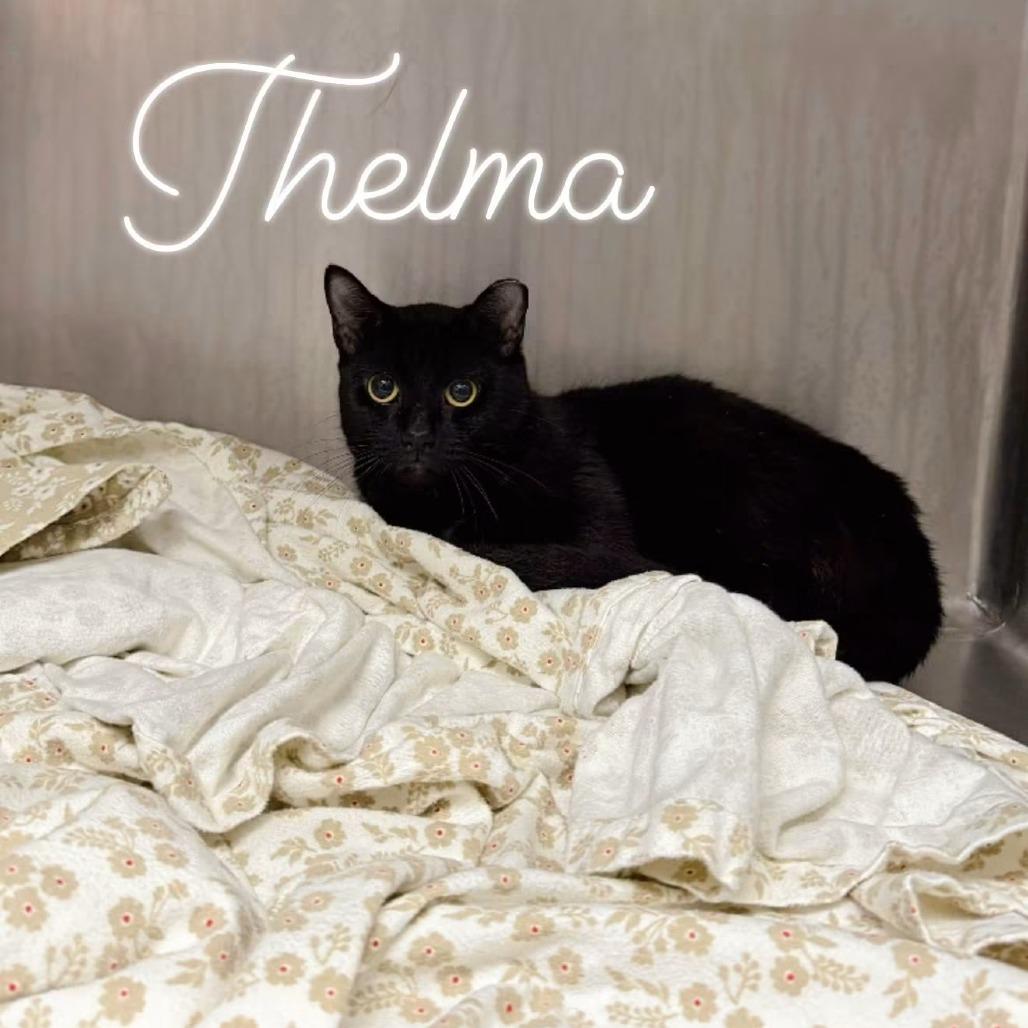 Thelma