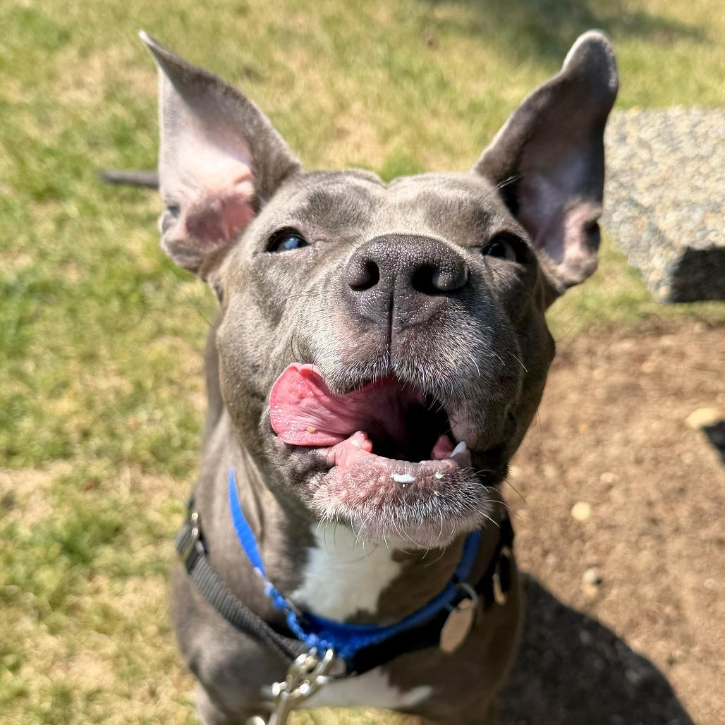 Rosie