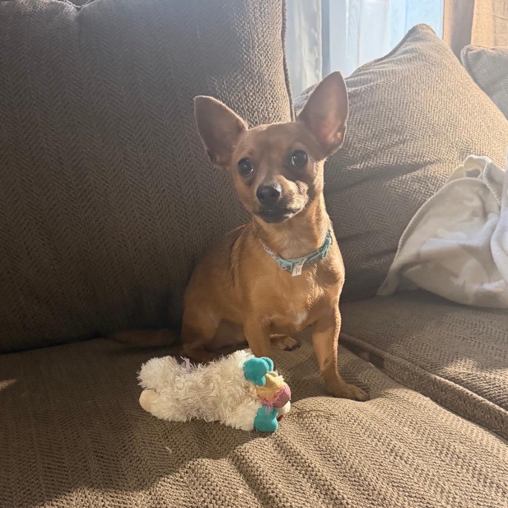 Ducky