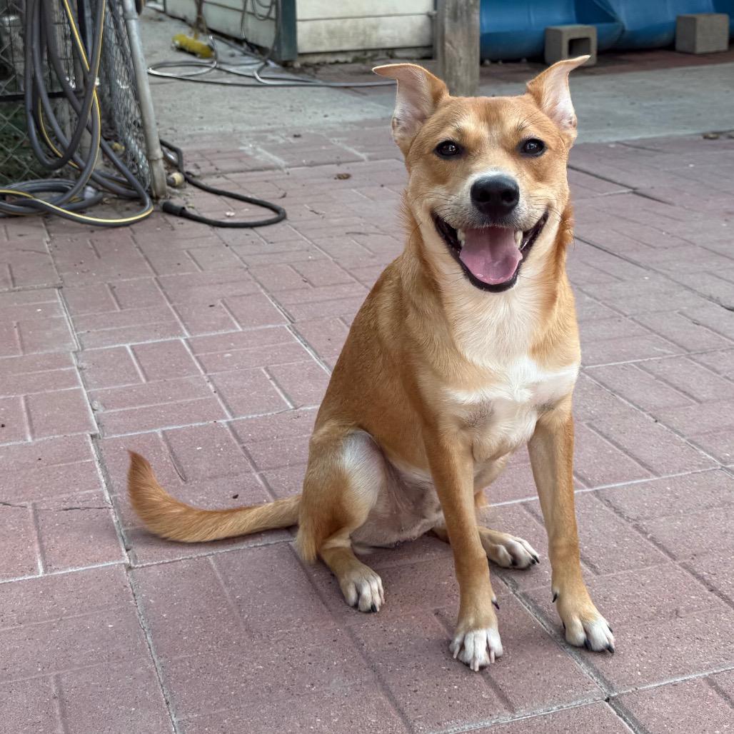 Shiloh