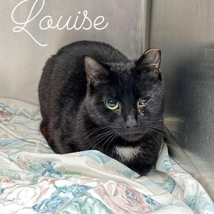 Louise