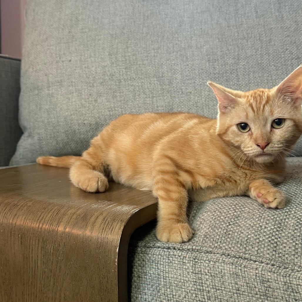 Benny 