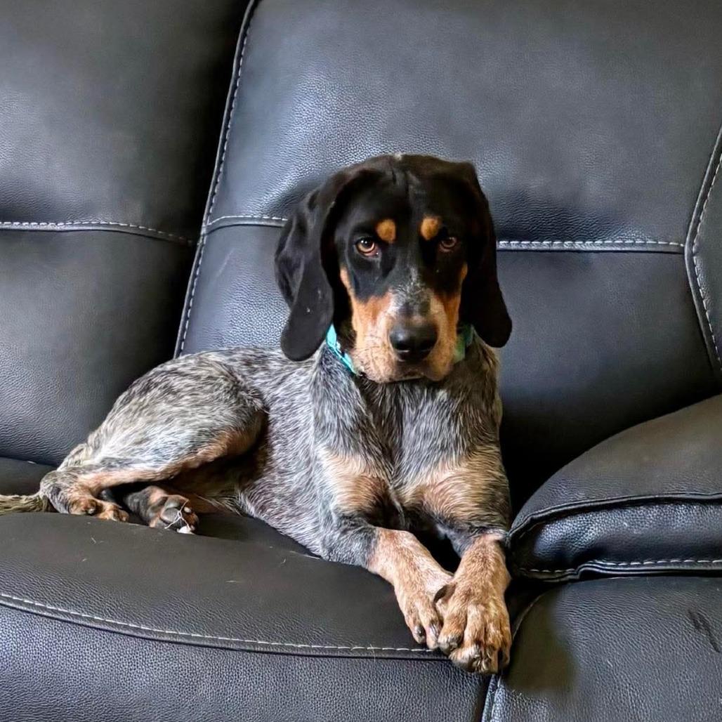 Penny