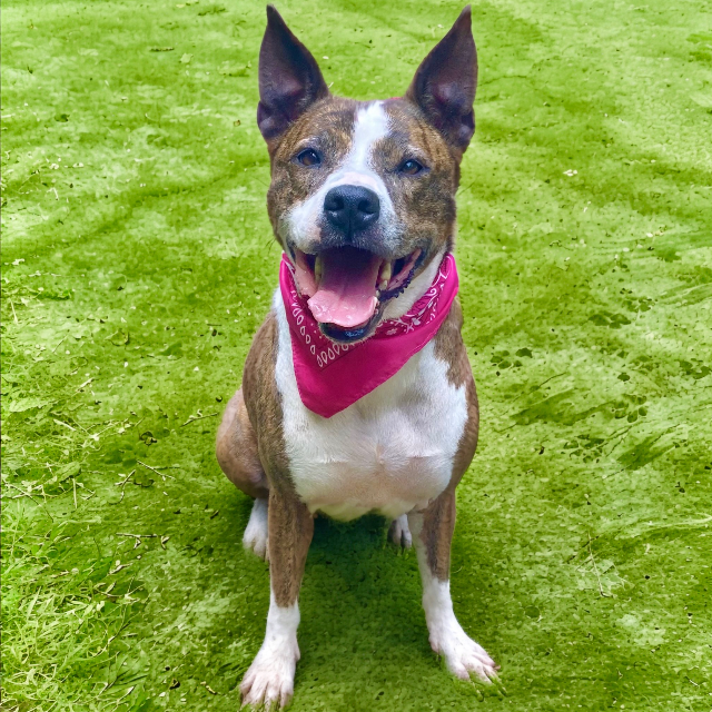 Eloise 