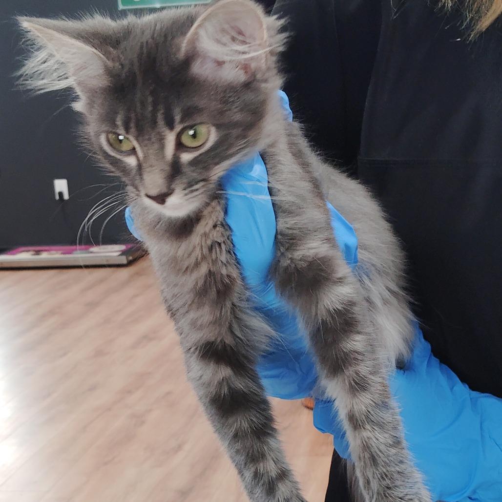 Sam