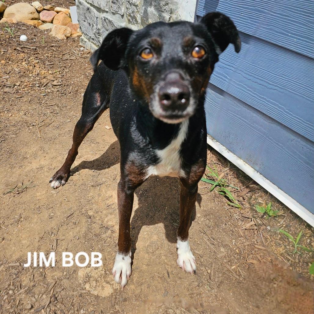Jim Bob