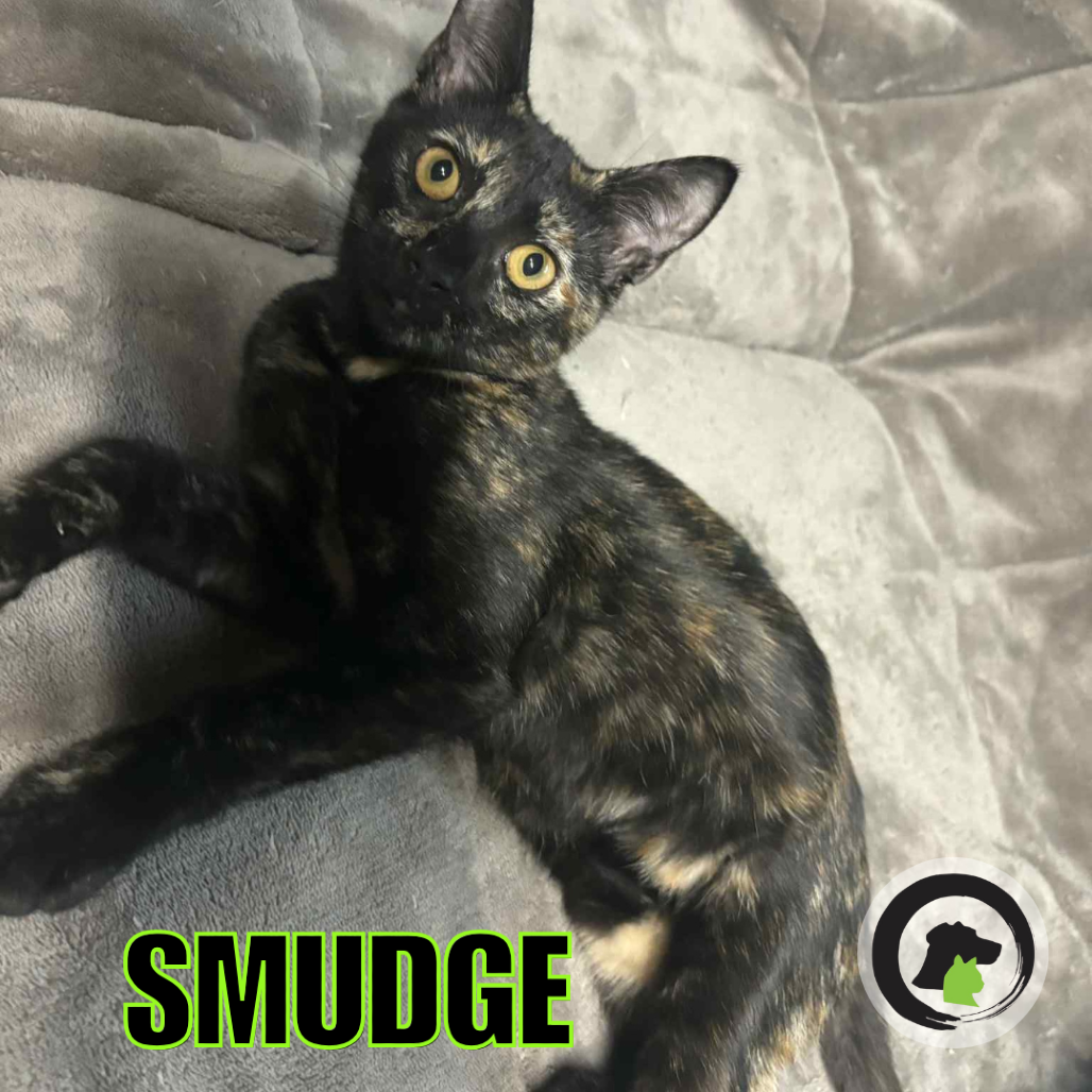 Smudge