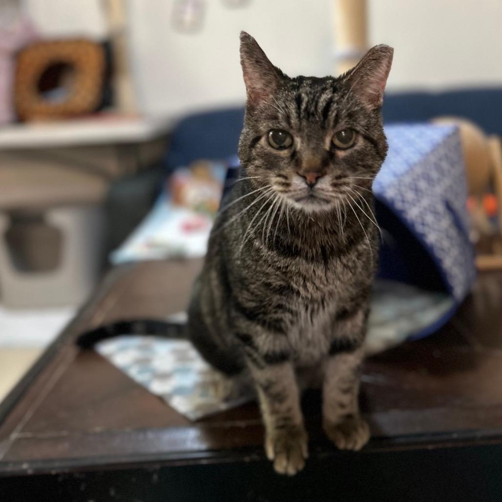 Charlie