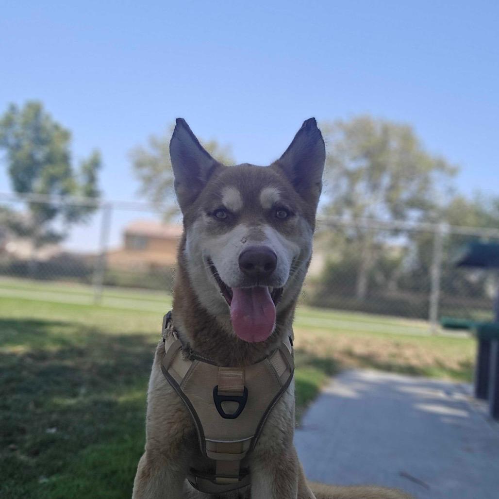 Roscoe