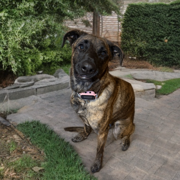 Roxy