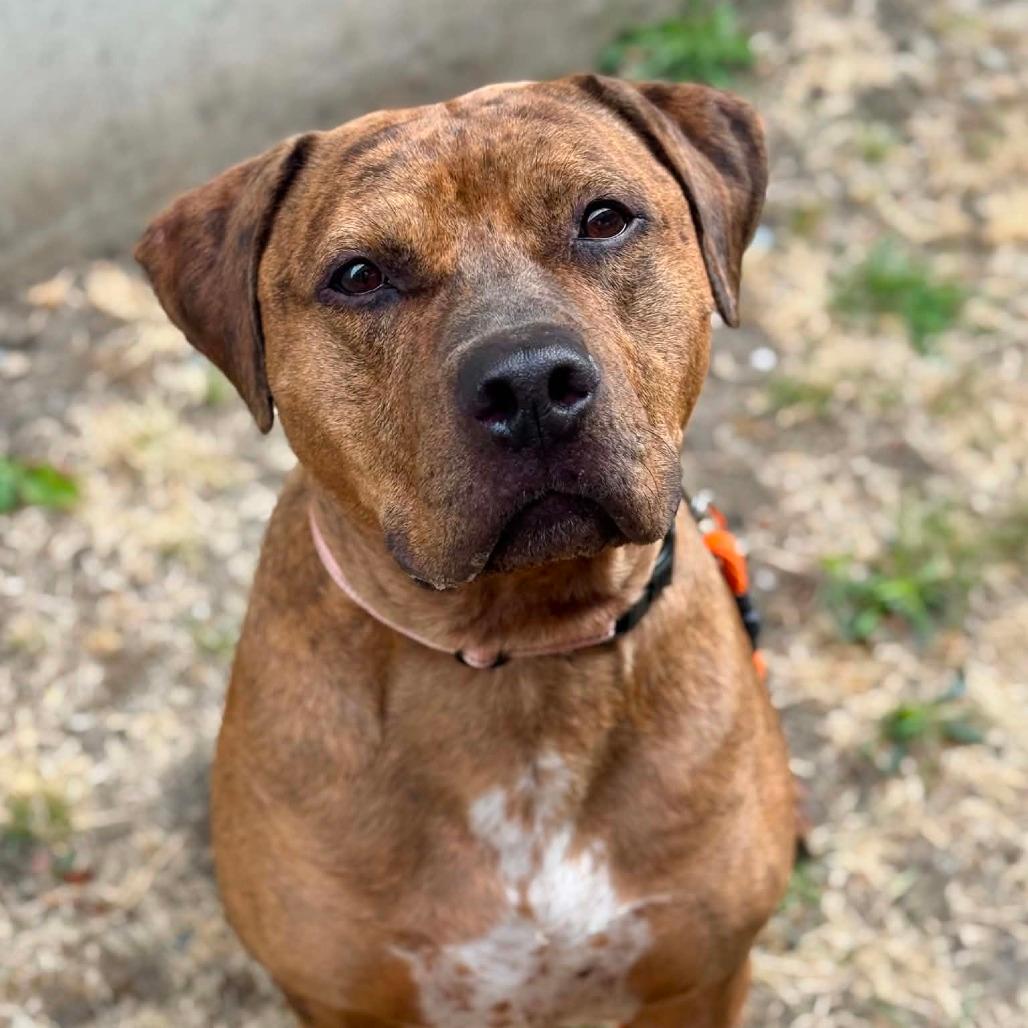 Odin
