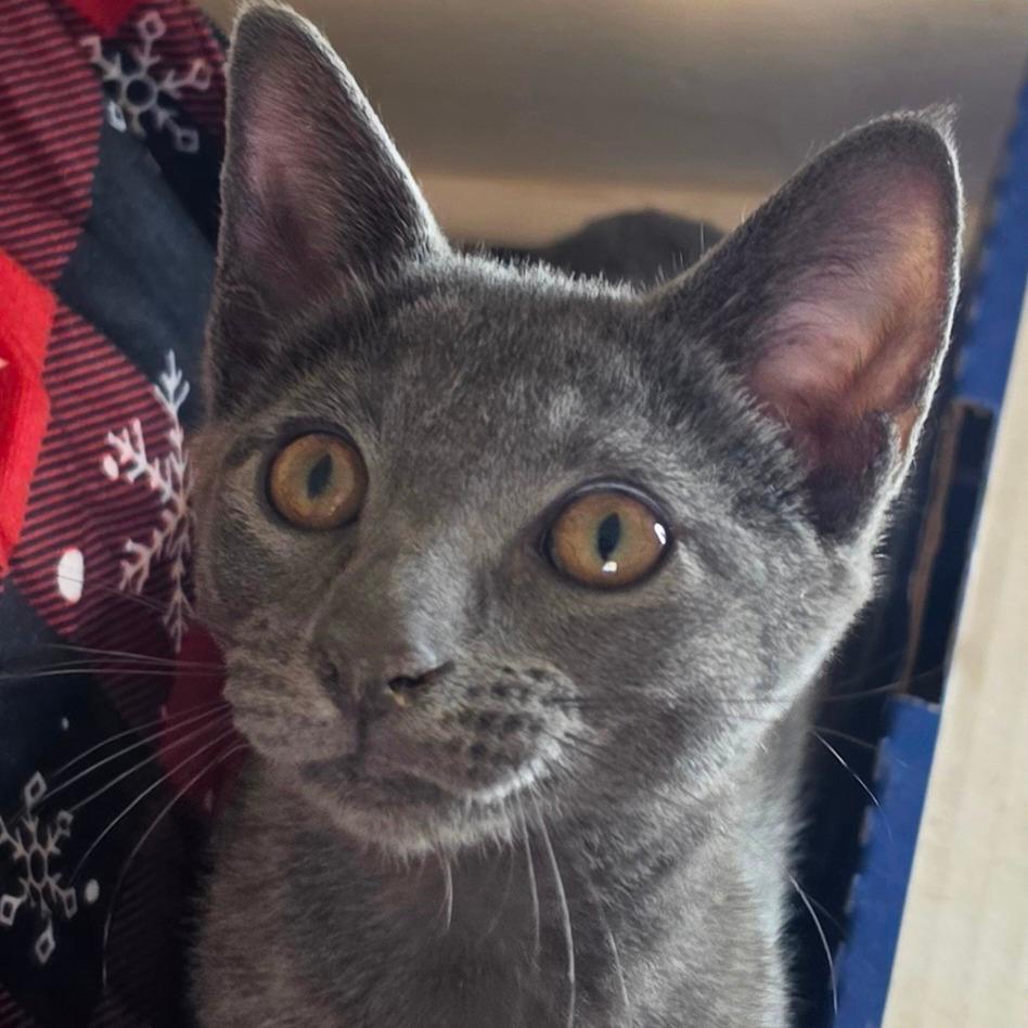 Tabasco
