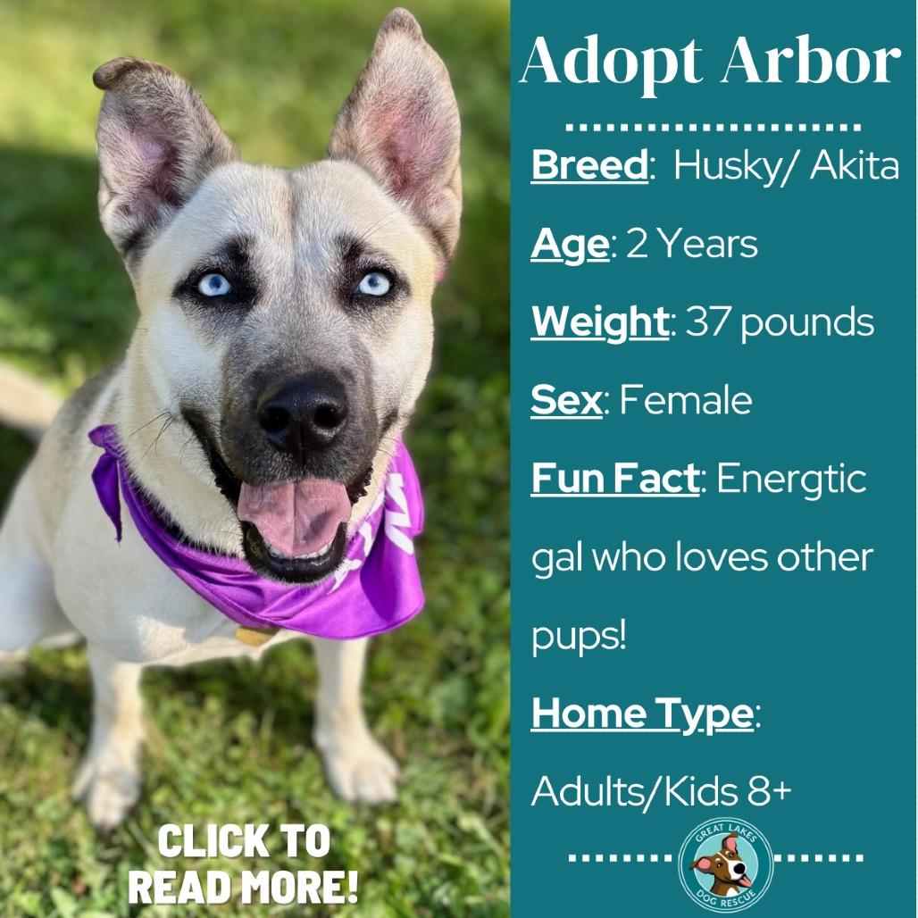 Arbor