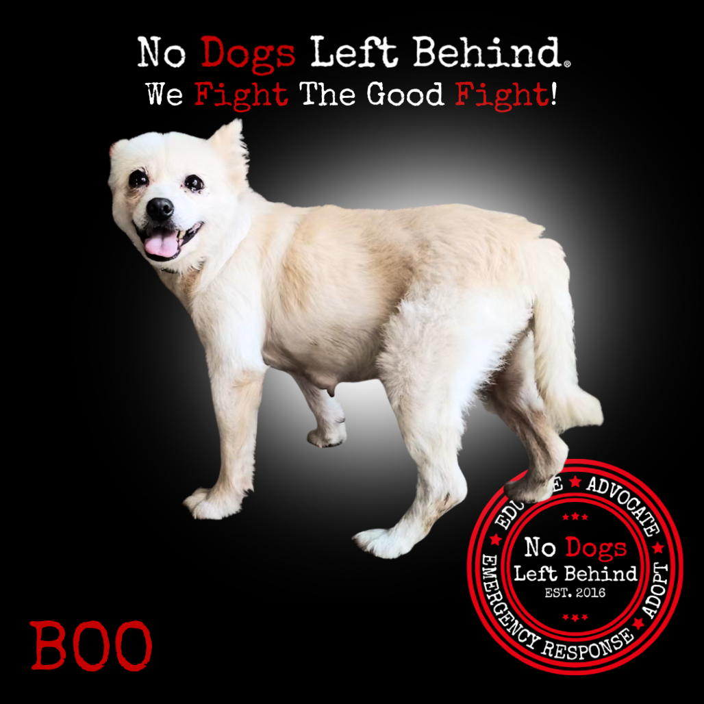 Boo 3961