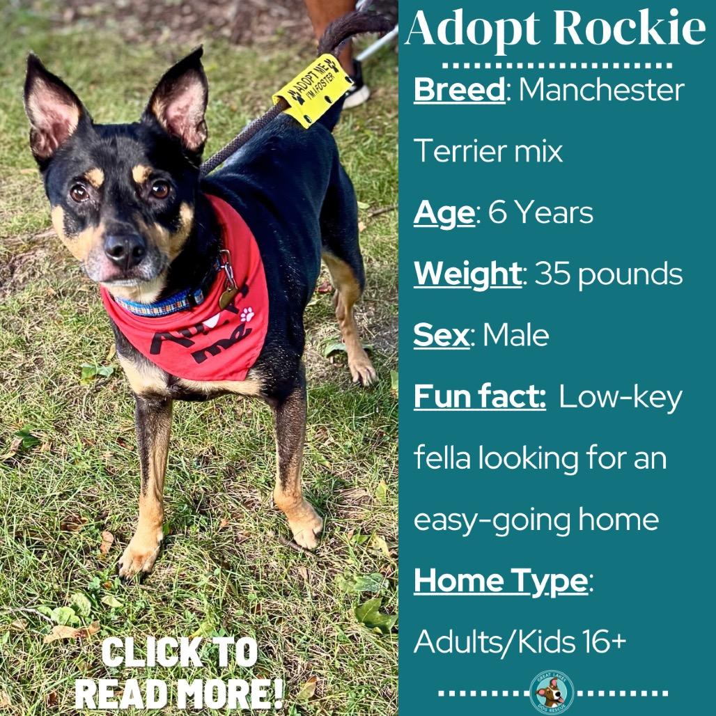 Rockie