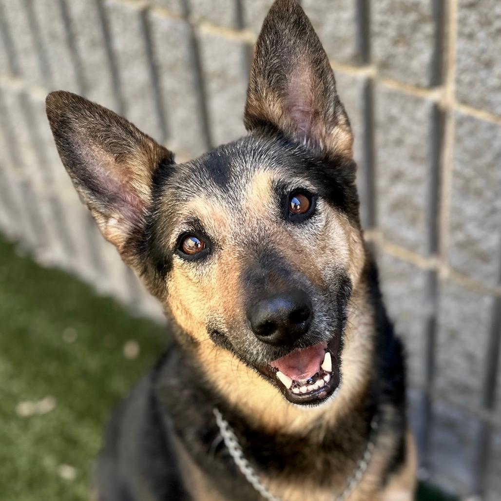 Winnie - ECAS