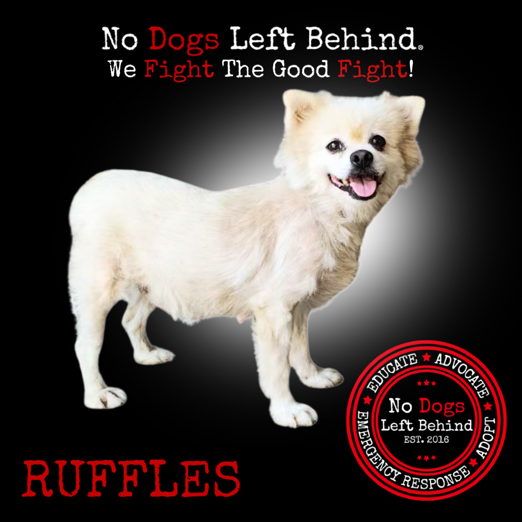 Ruffles 3976
