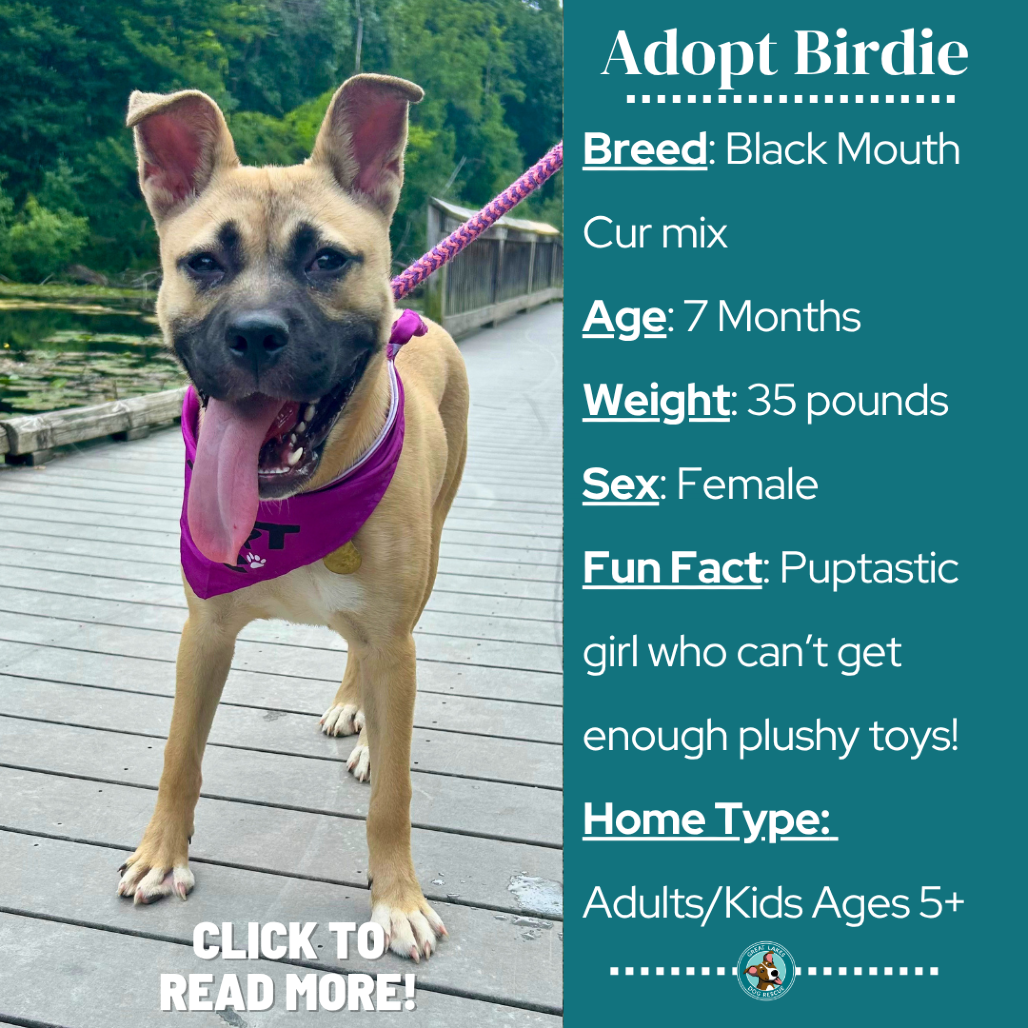 Birdie
