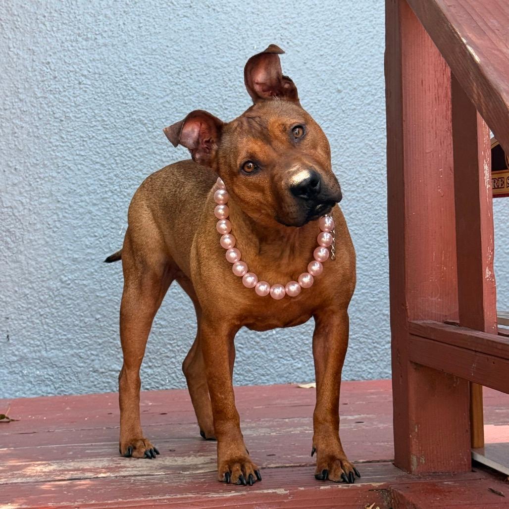 Penny