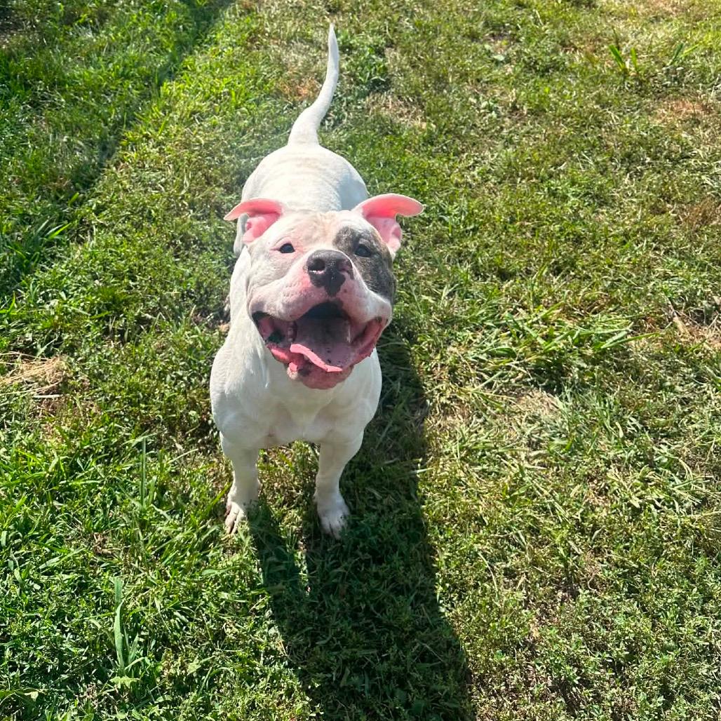 Walter