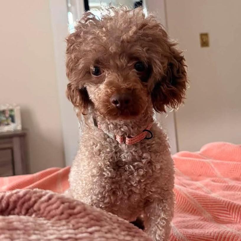 Elliott 