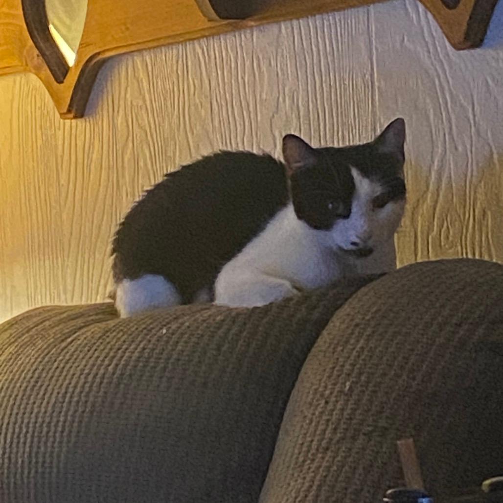 Sally