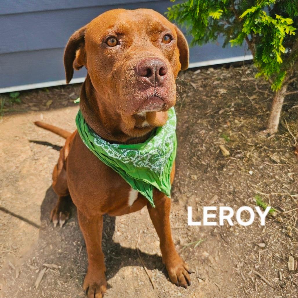 Leroy