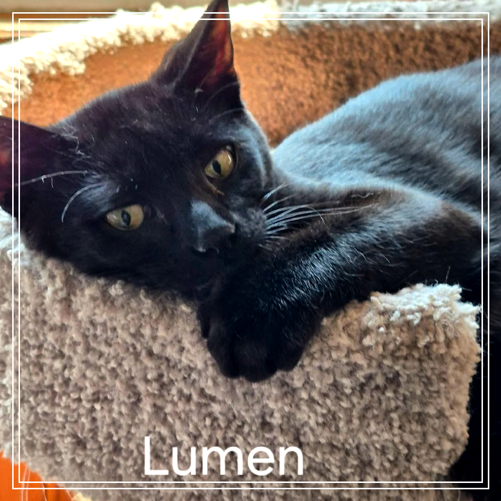 Lumen