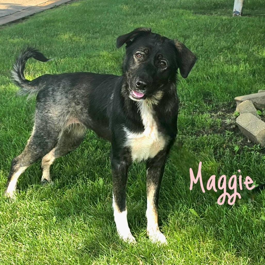 Maggie