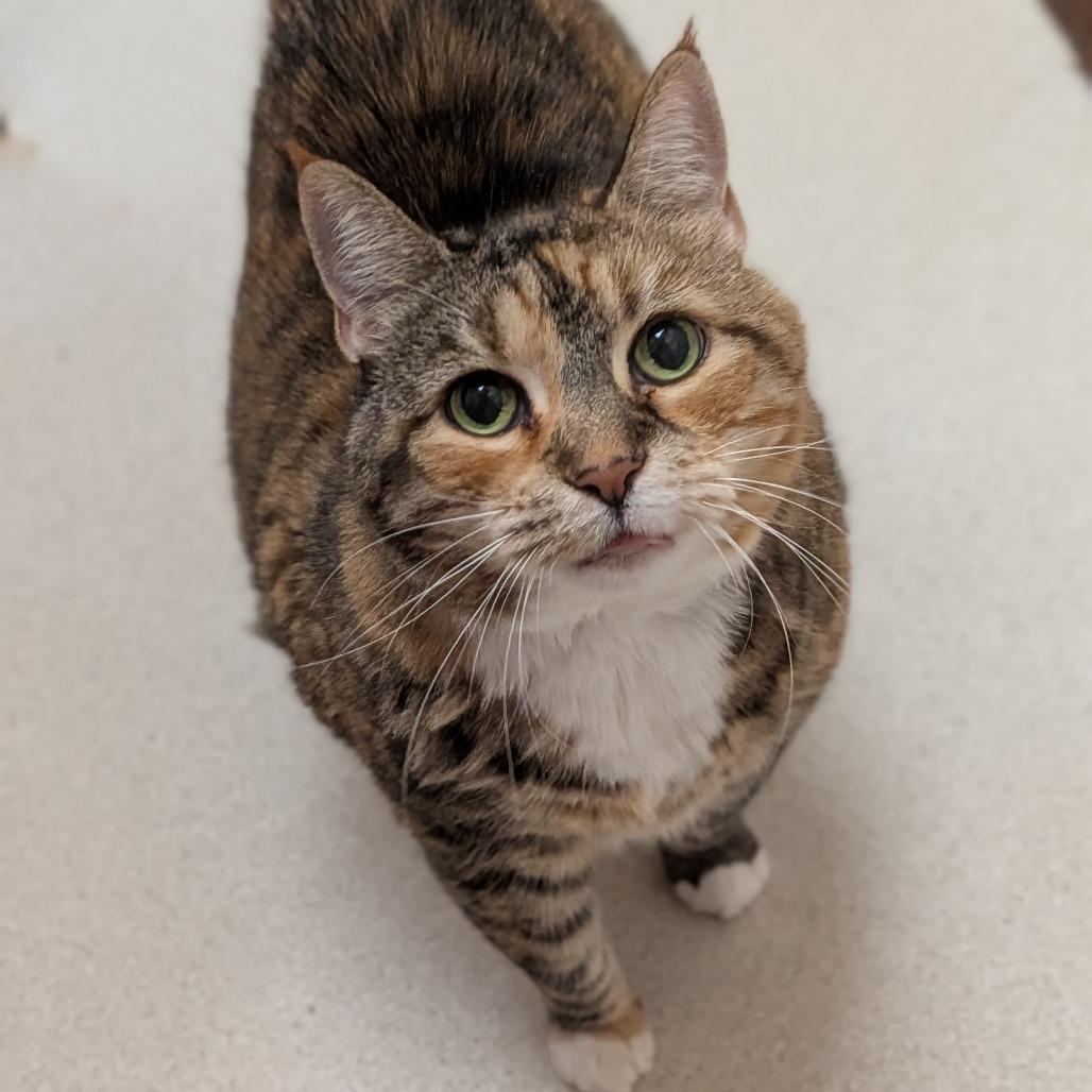Kiki 
