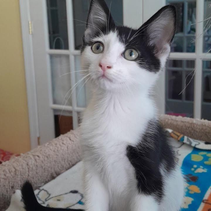 Barnaby 