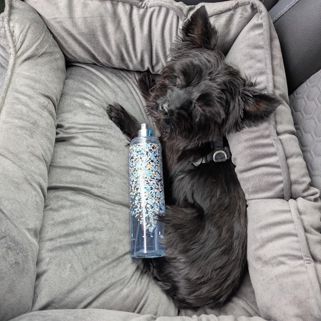 Hairy Pawter