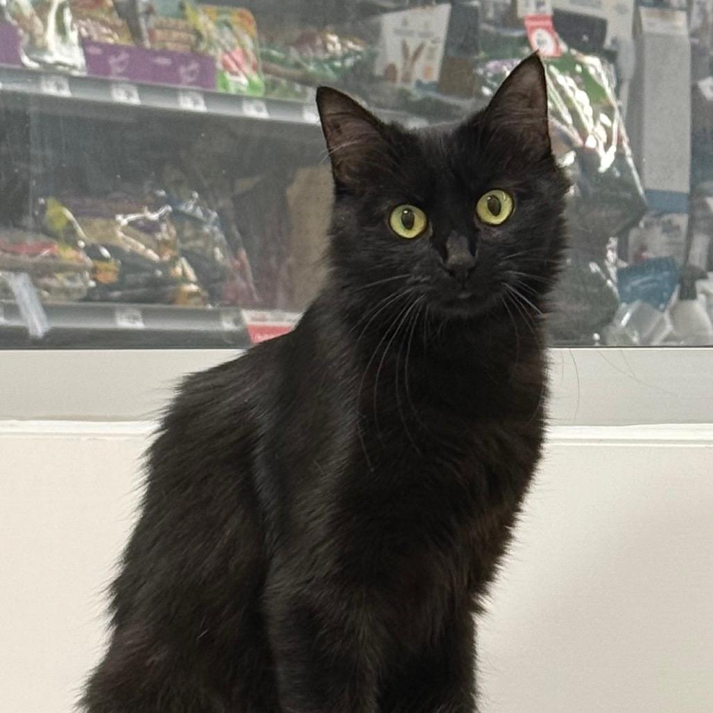   Mimi