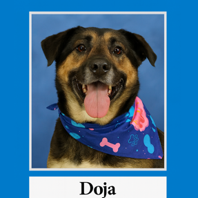 Doja